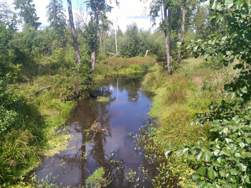 река Солотча