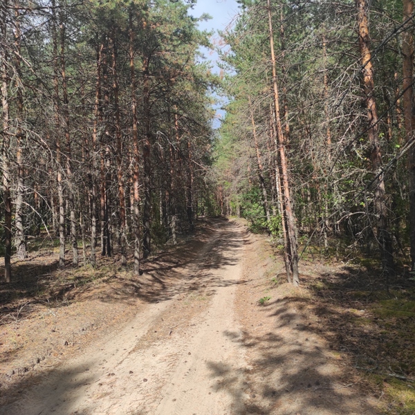 Дорога Деулино - Бельское