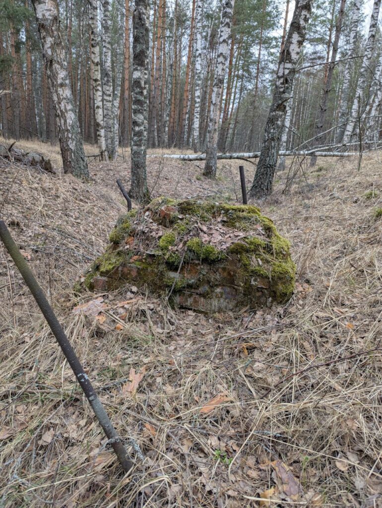 Залазы