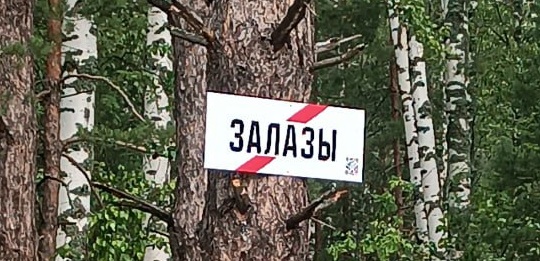 Залазы